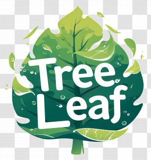 Tree Leaf - Tree Leaf Illustration Transparent PNG