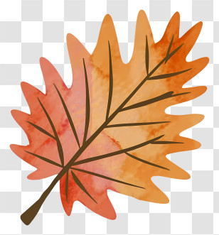 Watercolor Painting - Colorful Autumn Leaf In Orange Transparent PNG