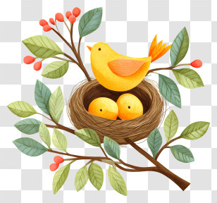 Bird Nest On A Branch - Bird Nest With Eggs On Branch Transparent PNG