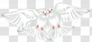 Columbidae Ruddy Ground Dove Rock Maddie Rooney - Heart - White Doves Transparent Clipart Transparent PNG