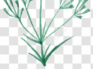 Twig Green Image Graphics Photograph - Grass Family - Rgb Color Model Transparent PNG