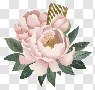 Pink Peonies - Pink Peonies With Leaves Transparent PNG