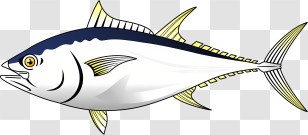 Icon - Tuna Fish Illustration Transparent PNG