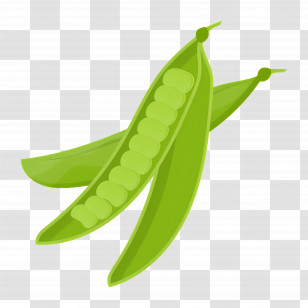 Green Peas - Green Pea Pod Illustration Transparent PNG