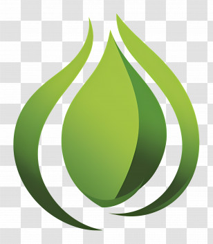 Green Abstract Leaf Shape - Green Abstract Leaf Logo Illustration Transparent PNG