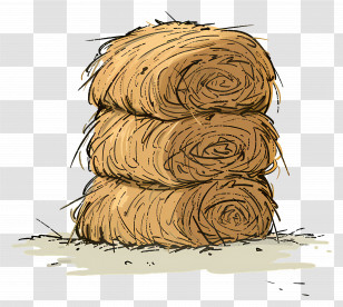 Stack Of Hay - Stacked Hay Bales Illustration Transparent PNG