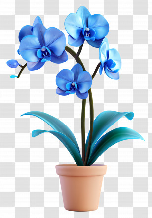 Blue Orchid - Blue Orchid In Pot Illustration Transparent PNG