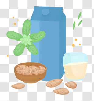 Almonds - Almond Milk And Almonds Illustration Transparent PNG
