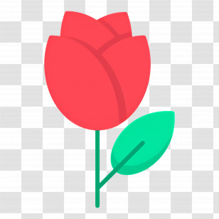 Red Flower - Red Rose Illustration With Green Leaf Transparent PNG