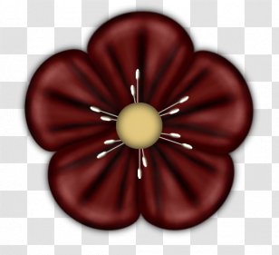 Petal Red - Drawing - Five Peach Transparent PNG