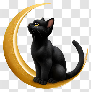 Black Cat With A Crescent Moon - Black Cat On Golden Moon Transparent PNG