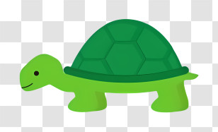 Green Turtle - Adorable Green Cartoon Turtle Illustration Transparent PNG