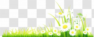 Clip Art Free Content Spring Image - Green - Stock Photography Transparent PNG