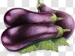 Artichoke Eggplant Vegetable - Benih - Vector Transparent PNG