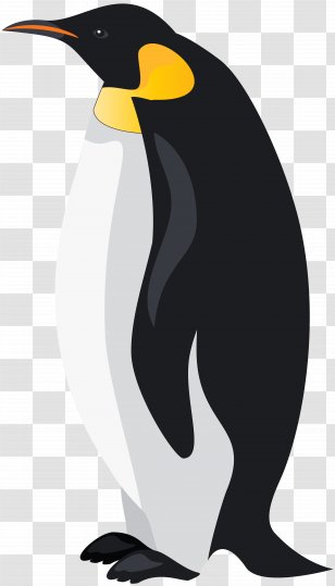 King Penguin Bird Emperor Clip Art - Beak - Penguins Transparent PNG