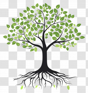 Tree With Roots - Tree With Roots And Green Leaves Illustration Transparent PNG