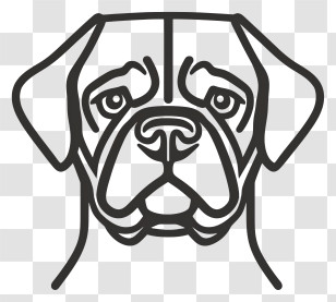 Mastiff - Simple Dog Outline Drawing Transparent PNG