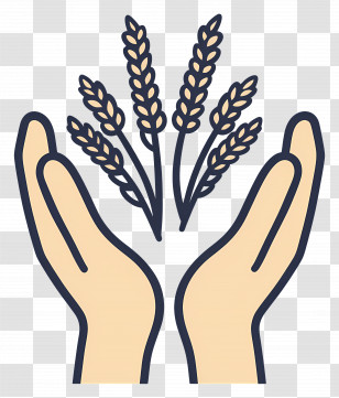 Grass Seed - Hands Holding Wheat Symbol Transparent PNG