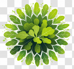 Tree Top View - Green Leafy Botanical Design Graphic Transparent PNG