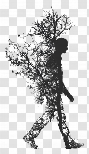 Walking Silhouette - Silhouette With Tree Illustration Transparent PNG