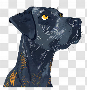 Black Dog Illustration - Illustration Of A Black Dog Looking Up Transparent PNG