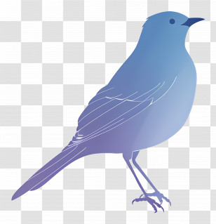 Bird - Blue Silhouette Bird Illustration Transparent PNG
