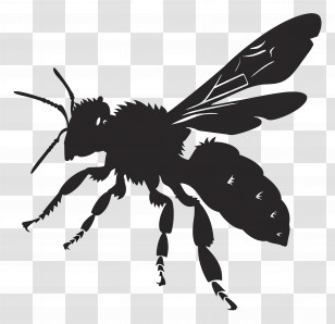 Bee Silhouette - Silhouette Of A Bee Transparent PNG