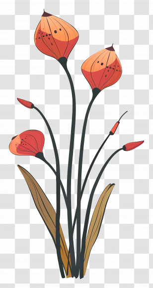 Pitcher Plant - Orange Flowers Illustration With Long Stems Transparent PNG