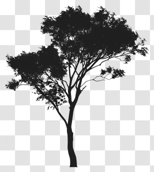 Tree Silhouette - Tree Silhouette In Artistic Style Transparent PNG
