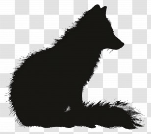 Arctic Fox Silhouette - Black Fox Silhouette Illustration Transparent PNG