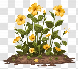 Yellow Flowers - Beautiful Yellow Flowers In Bloom Transparent PNG