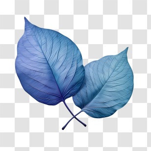 Blue Leaves - Blue Leaves Design With Artistic Style Transparent PNG