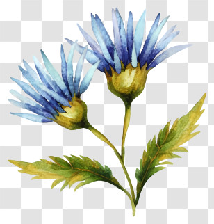 Blue Flowers - Beautiful Blue Flowers Transparent PNG