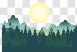 Family Tree Drawing - Deep Forest Green - Pine Conifer Transparent PNG