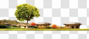 Flowerpot Floral Design Property Houseplant Tree - Free Creative Pull Cottage Transparent PNG