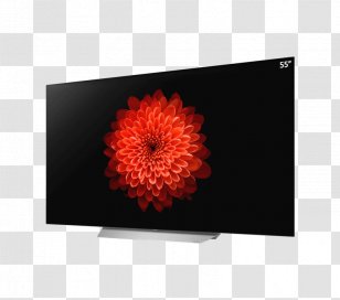 LG 4K Resolution OLED High-definition Television - Petal - Lg Transparent PNG