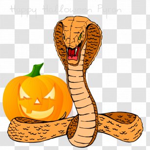 Snakes King Cobra Clip Art Vector Graphics Illustration - Fruit - Pyran Transparent PNG