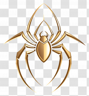 Simple Design - Golden Spider Illustration Transparent PNG
