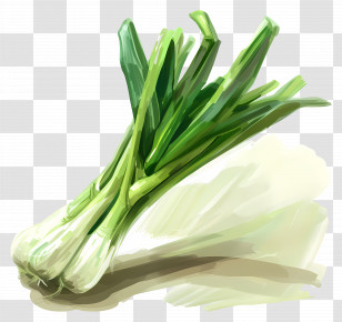 Leek - Illustration Of Fresh Green Onions Transparent PNG