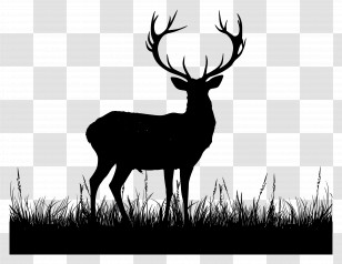 Deer Silhouette - Majestic Deer Silhouette Transparent PNG