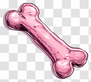 Dog Bone - Pink Bone For Dogs Transparent PNG