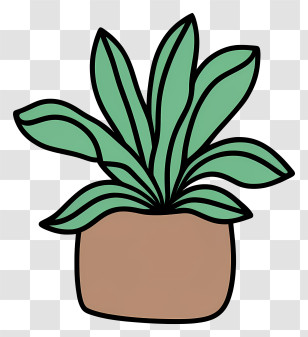 Potted Plant - Green Plant In Brown Pot Transparent PNG
