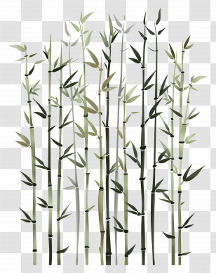 Bamboo Forest - Illustration Of Bamboo Stalks In A Minimalist Style Transparent PNG
