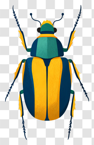 Copris Lunaris Beetle - Colorful Beetle Illustration Transparent PNG