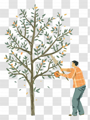 Man Pruning Tree - Man Pruning Tree In Garden Transparent PNG