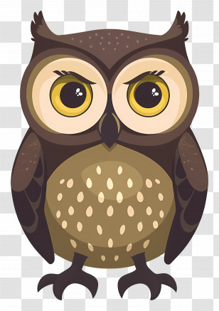 Owl - Charming Cartoon Owl Illustration Transparent PNG