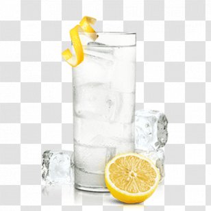 Orange Drink Gin And Tonic Vodka Harvey Wallbanger Lemonade - Highball - Fizz Transparent PNG