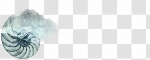 Godfrey Hirst Carpets Vinyl Composition Tile Flooring - Carpet - Shell Transparent PNG