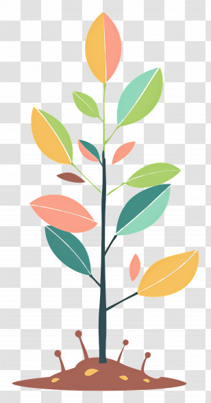 Tree Seedling - Colorful Plant With Leaves Illustration Transparent PNG