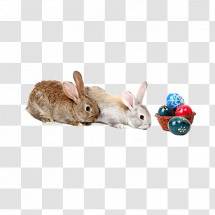 Grey Red - Purple - Rabbit Small Basket Transparent PNG